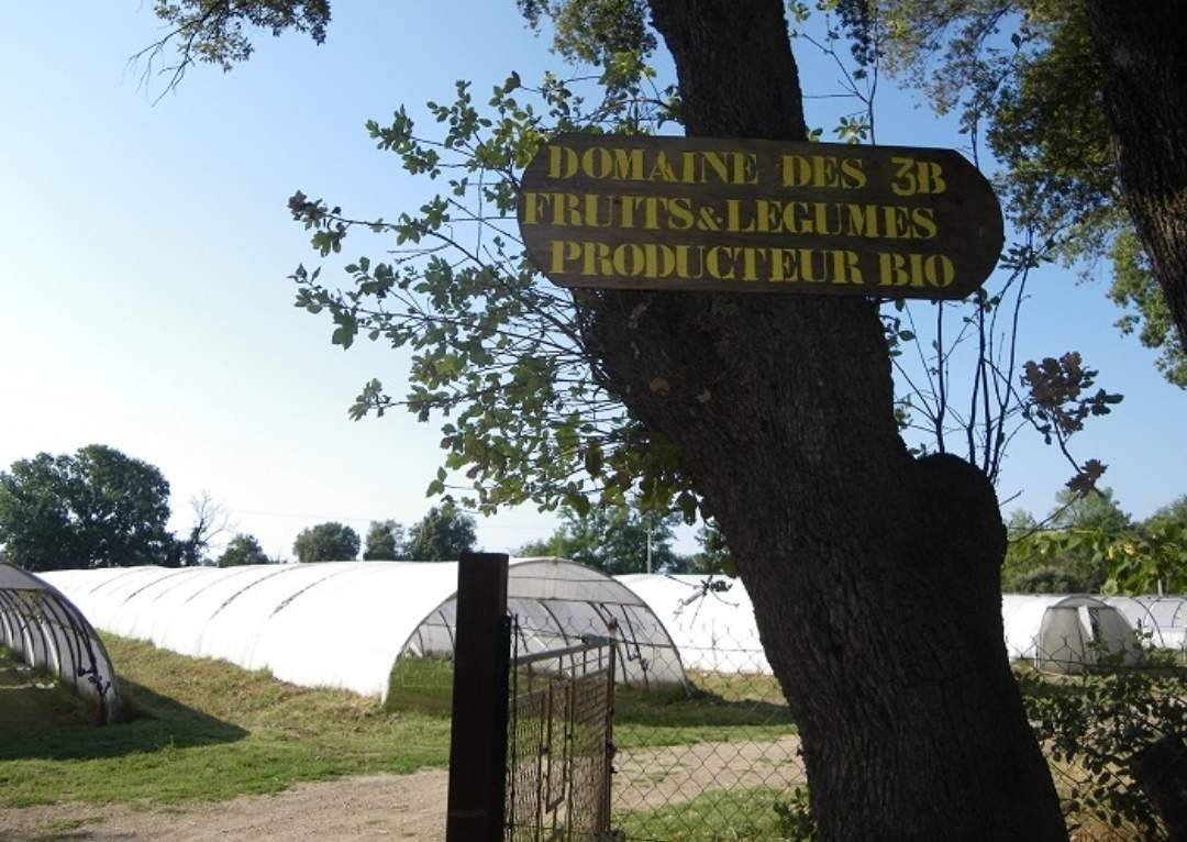 Producteur avec vente de légumes et de fruits biologique Entressen Le Domaine des 3B