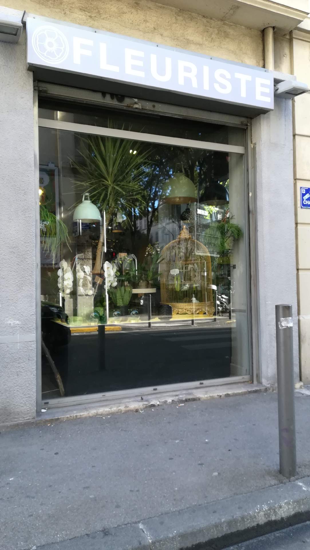 fleuriste, magasin pour la maison le jardin marseille végétal Factory
