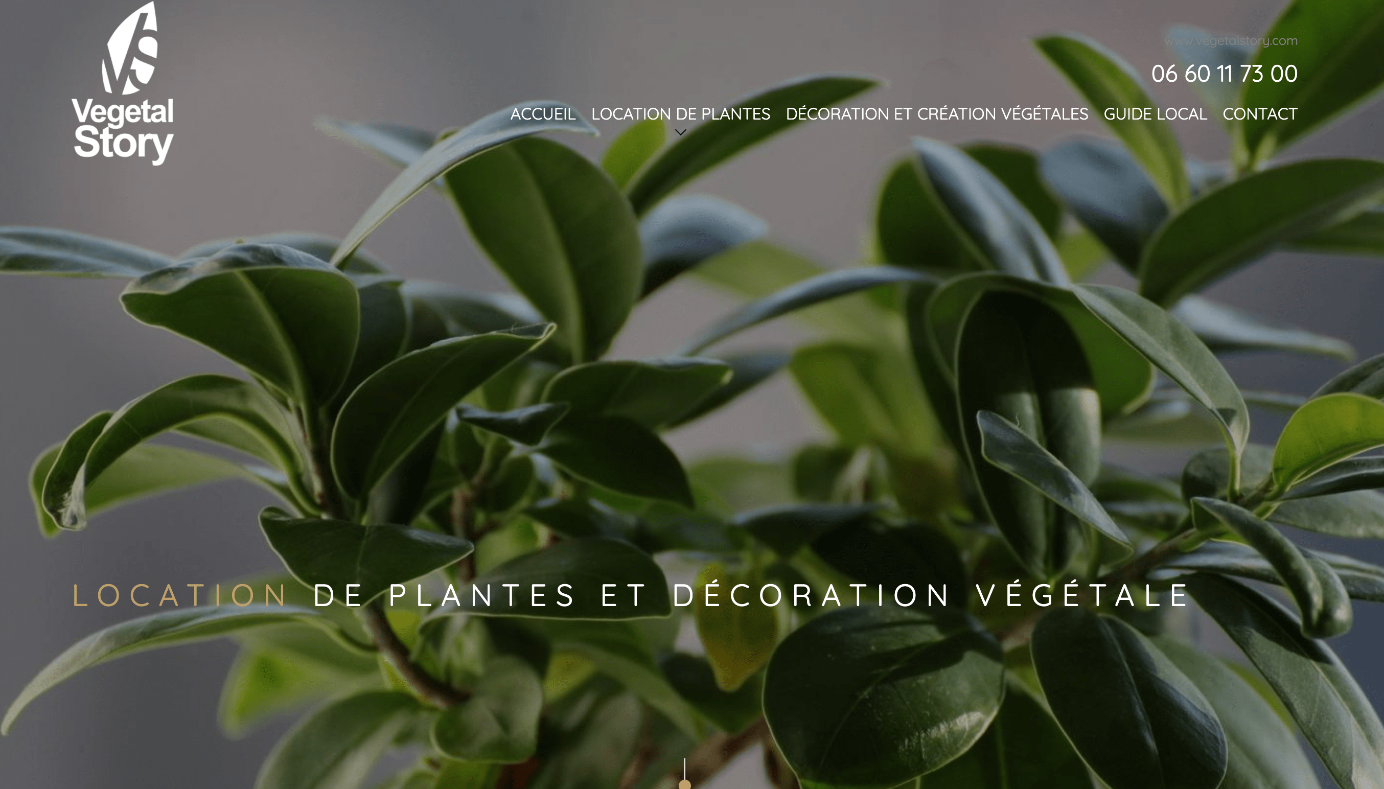 vegetal story location de plante