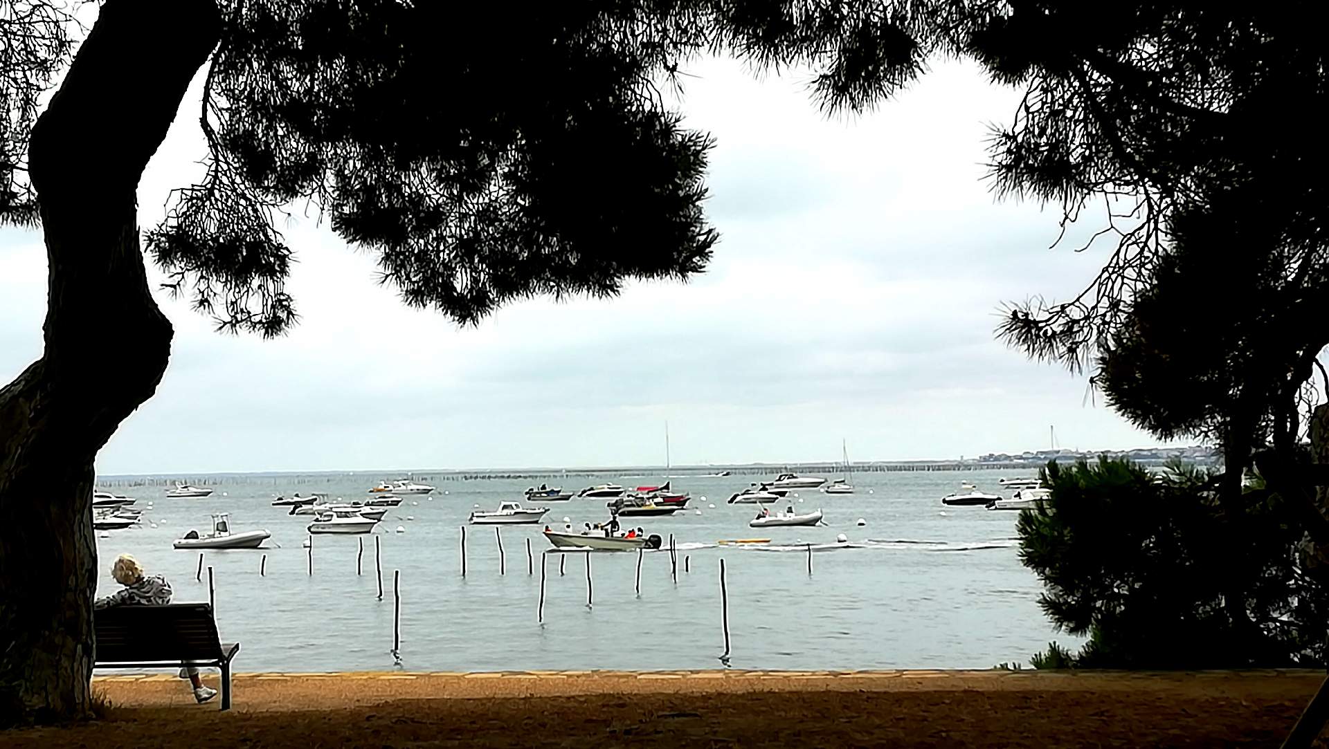Location de bateaux de de style pinasse Bassin d'Arcachon DUBOURDIEU