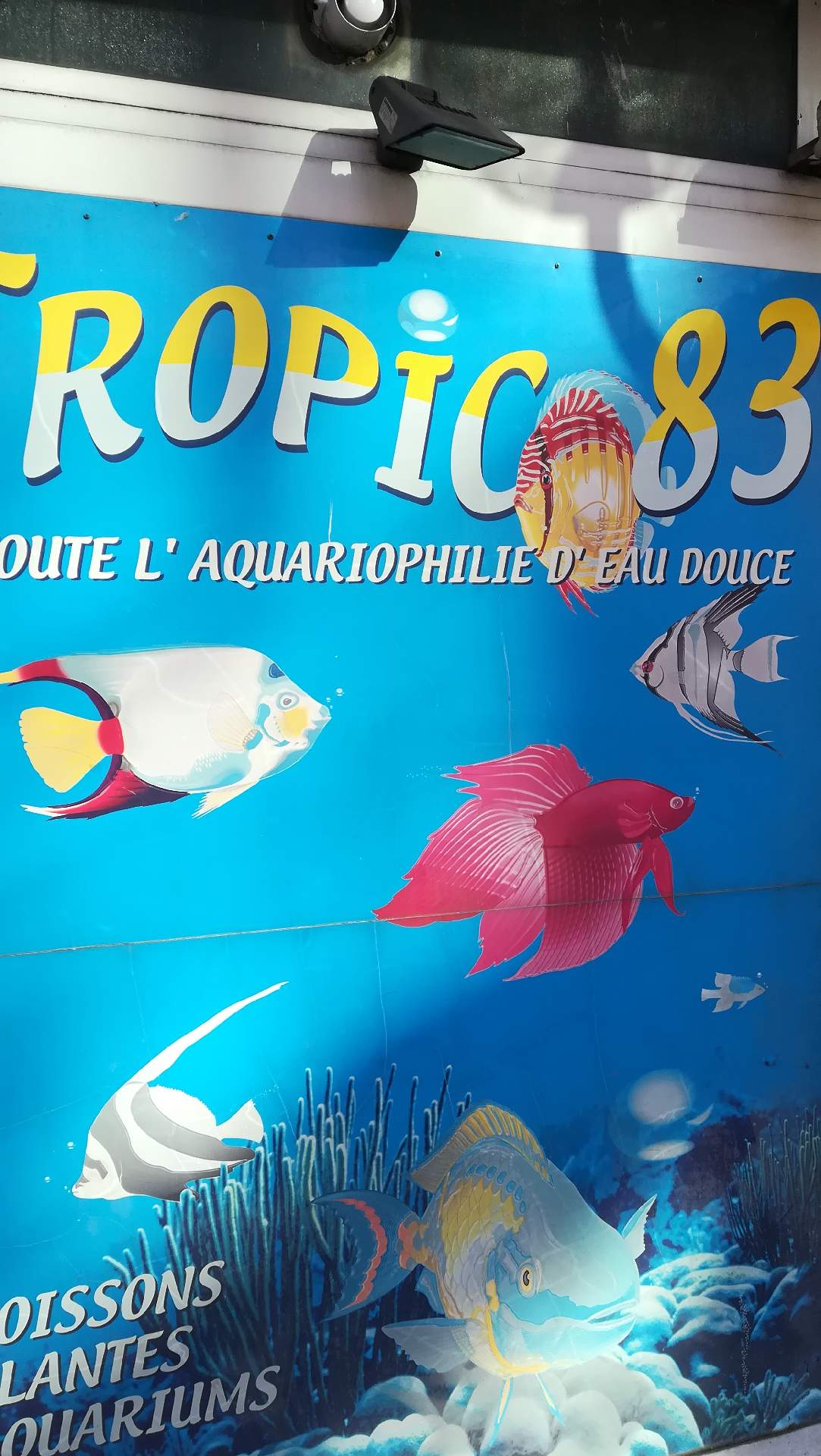 vente de matériel et nourriture pour animaux, matériel d'aquariophilie Toulon Tropical 83